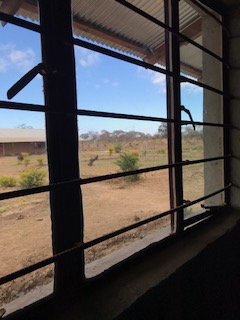 Alia blog post pic 1